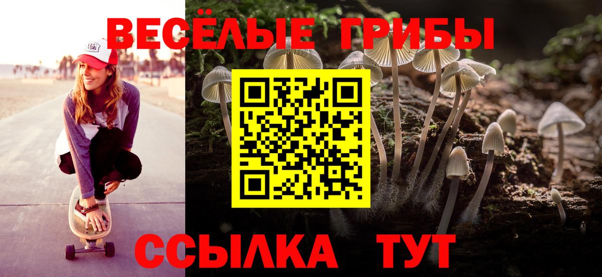 Псилоцибиновые грибы прущие грибы Энгельс